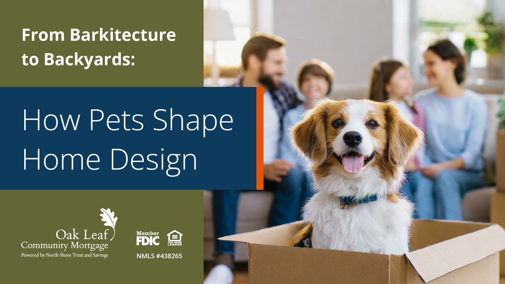 From Barkitecture to Backyards: How Pets Shape Home Design