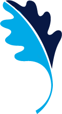 2color Leaficon